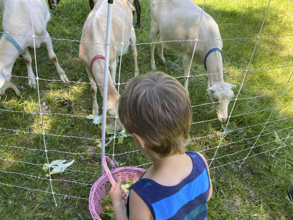 Youth feed lettuce to goats at Spring Forest farm in Hillsborough, N.C., Wednesday, May 29, 2024. This farm grows food, supports refugee resettlement and provides outdoor retreats for people in the healing professions. (Yonat Shimron/Religion News Service via AP)