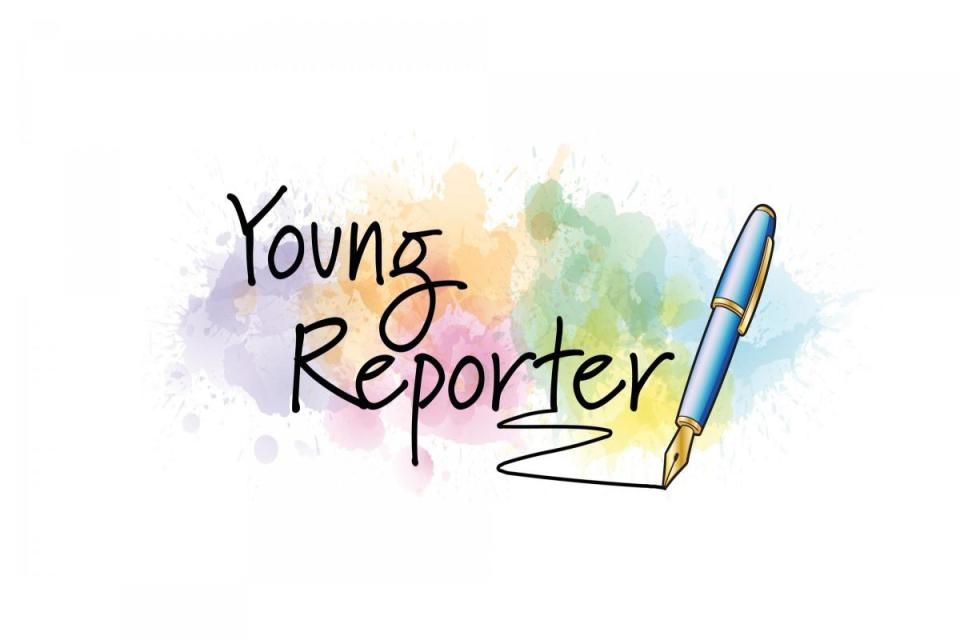 Young Reporter's Scheme logo <i>(Image: Young Reporter Scheme)</i>