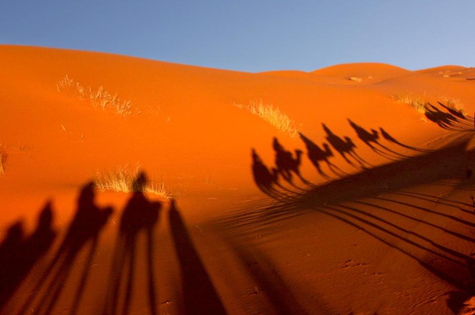 Sombras da caravana