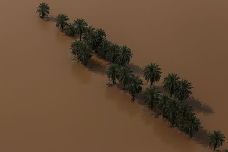 FILE PHOTO: An aerial view showing trees in a flooded area in Khuzestan province, Iran, April 5, 2019. Mehdi Pedramkhoo/Tasnim News Agency/via REUTERS/File Photo