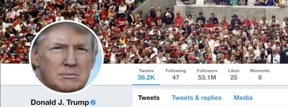 Trump's Twitter following July 13