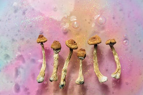 <span class="caption">The evidence is mounting for the effectiveness of psilocybin in treating depression.</span> <span class="attribution"><a class="link " href="https://www.shutterstock.com/image-photo/psilocybin-mushrooms-on-pink-bright-colorful-1922974532" rel="nofollow noopener" target="_blank" data-ylk="slk:Cannabis_Pic/Shutterstock;elm:context_link;itc:0;sec:content-canvas">Cannabis_Pic/Shutterstock</a></span>