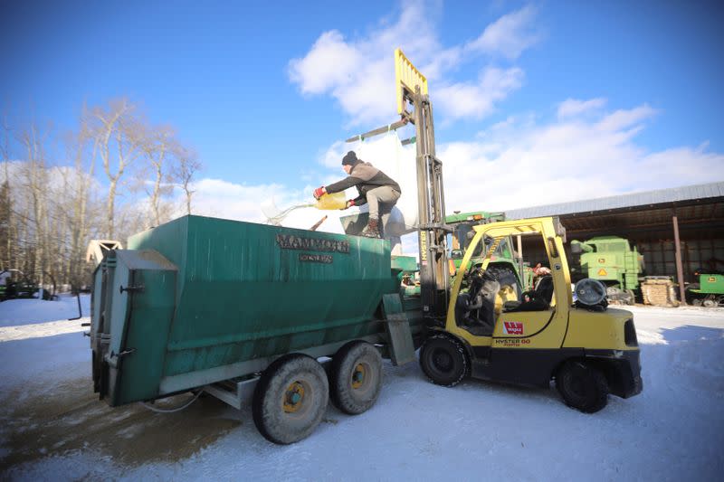 Yukon Grain Farm employee dumps oil into a pig feed mix at the Yukon Grain Farm near Whitehorse