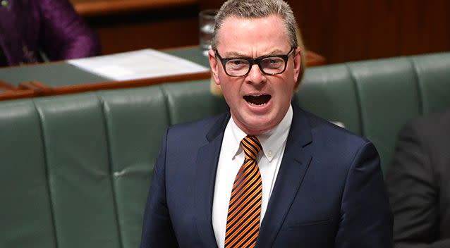 Defence Industry Minister Christopher Pyne said the claims are absurd. Source: AAP