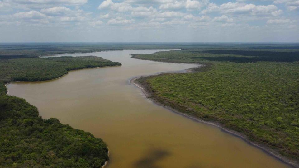 <strong>Área forestal en Bacalar, Quintana Roo. Foto: Robin Canul.</strong>