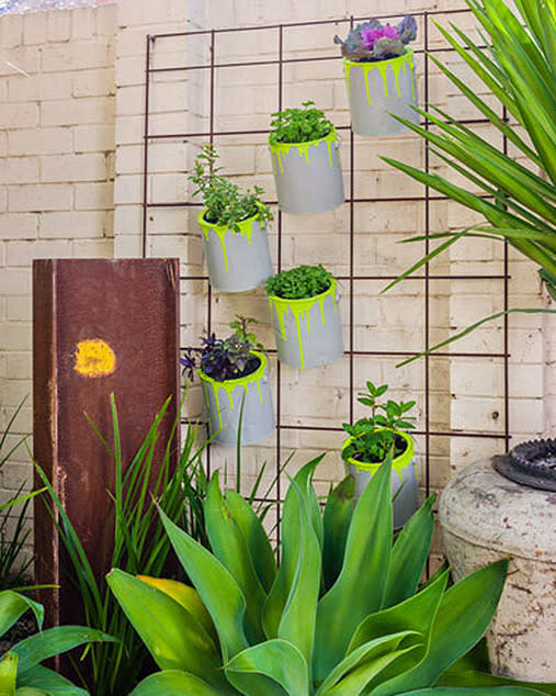 Create your own vertical garden using recycled paint cans and a steel reo frame or trellis. Drill at least four drainage holes in the base of each can, then coat cans with grey paint. Once dry, drench a medium-sized brush in coloured paint (we used Dulux Weathershield Low Sheen in Jazzercise) and circle the lip of each can, allowing paint to run freely. Allow to dry. Fill cans with potting mix and plant with herbs or plants of your choice. Attach frame to wall and secure can handles to frame with UV-resistant cable ties.