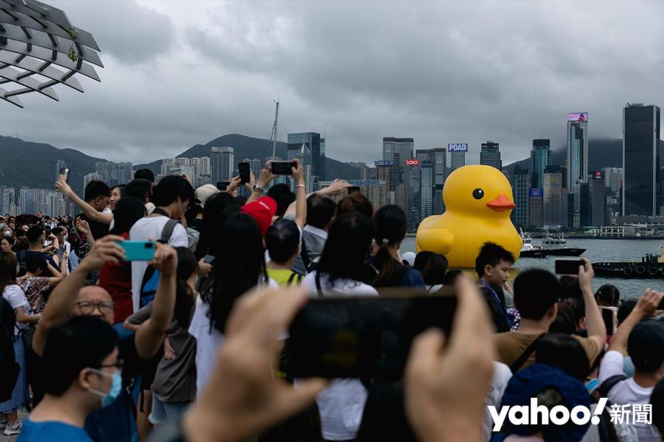 海上巡遊的黃鴨經過尖沙咀對開，成千上萬市民在海旁等待黃鴨來到，舉機拍照。
