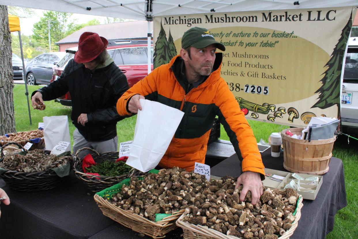 Michigan Mushroom Market charged $65 per pound for Idaho grown morels at the Boyne City Morel Mushroom Festival on Saturday, May 20, 2023.