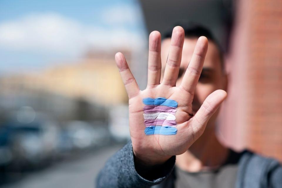 transgender flag on a palm