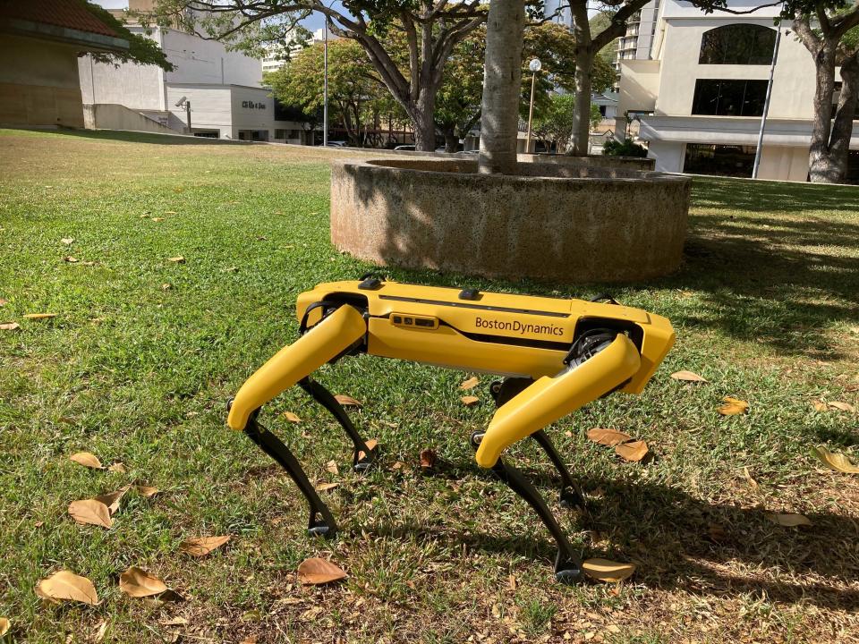 Spot, a robotic Honolulu police dog, stands outside department headquarters during a demonstration to reporters Friday May 14, 2021. Police officials experimenting with the four-legged machines say they’re just another tool, like drones or simpler wheeled robots, to keep emergency responders out of harm’s way. (AP Photo/Jennifer Sinco Kelleher)