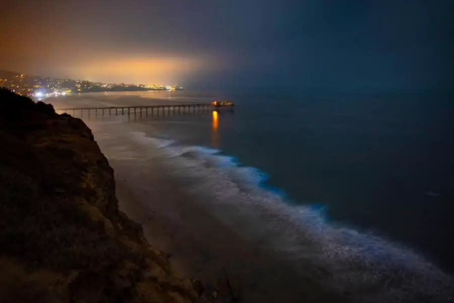 ¡Vuelve la bioluminiscencia a las playas de San Diego! 