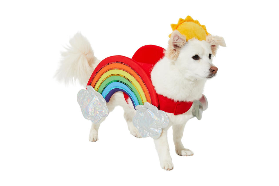 <p><a href="https://people.com/pets/halloween-costumes-for-small-pets-guinea-pigs-hamsters-lizards/" rel="nofollow noopener" target="_blank" data-ylk="slk:Halloween is approaching;elm:context_link;itc:0;sec:content-canvas" class="link ">Halloween is approaching</a>, and most pet owners can agree one of the best parts of the holiday is getting to see your furry friend in costume. Read on to see some of the cutest Halloween outfit options available for dogs this year. </p> <p><strong>Buy it!</strong> Rainbow Dog Costume, $16.99; <a href="https://www.anrdoezrs.net/links/8029122/type/dlg/sid/PEO25HalloweenCostumesforDogsthatWillHaveTrickorTreatersHowlingwithJoykbender1271PetGal12909733202109I/https://www.chewy.com/frisco-rainbow-dog-cat-costume/dp/287466" rel="sponsored noopener" target="_blank" data-ylk="slk:Chewy.com;elm:context_link;itc:0;sec:content-canvas" class="link ">Chewy.com</a></p>