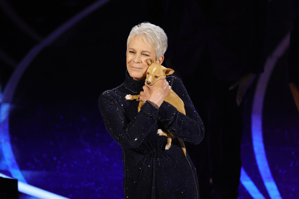 HOLLYWOOD, CALIFORNIA - MARCH 27: Jamie Lee Curtis speaks onstage during the 94th Annual Academy Awards at Dolby Theatre on March 27, 2022 in Hollywood, California. (Photo by Neilson Barnard/Getty Images)