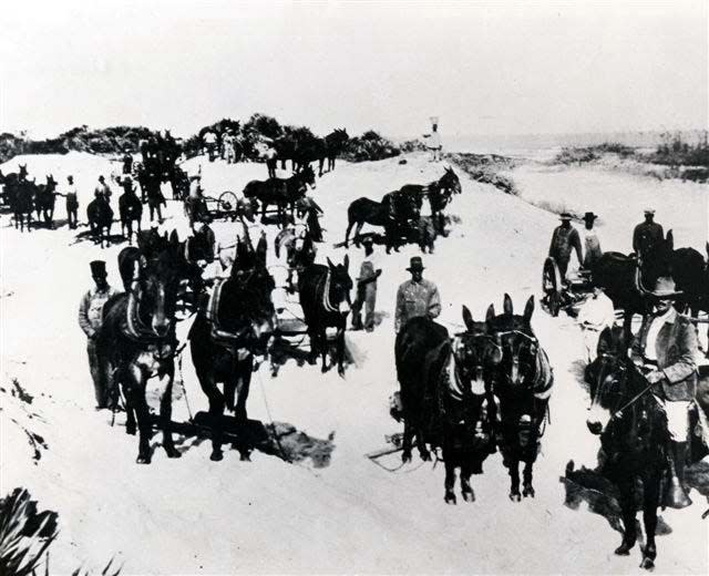 In this 1926 photo, crews working for B.B. McCormick and Sons use mules to build part of the road that would become Florida A1A and link Jacksonville Beach with St. Augustine through pavement. (Provided by the Beaches Museum and History Center)