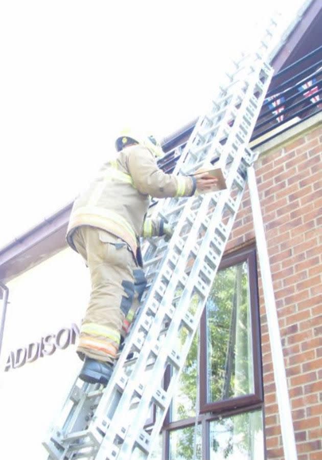 She wanted to see them climb through her window. Photo: Facebook/twfrs