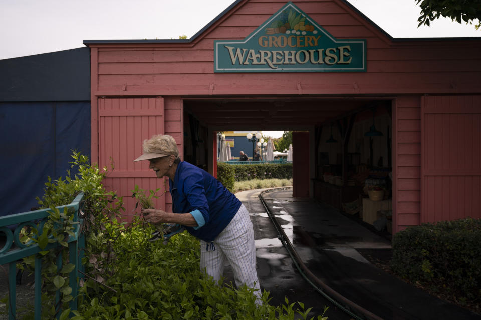 Yvonne Ansdell, mother of Allan Ansdell Jr, owner and president of Adventure City amusement park, trims shrubs at the park ahead of its reopening in Anaheim, Calif., Wednesday, April 14, 2021. The family-run amusement park that had been shut since March last year because of the coronavirus pandemic reopened on April 16. "I consider it a real blessing," Ansdell said about the reopening. "Our life is truly a roller coaster. Ups and downs, but you have to learn how to wade through the downs so you can get the highs." (AP Photo/Jae C. Hong)