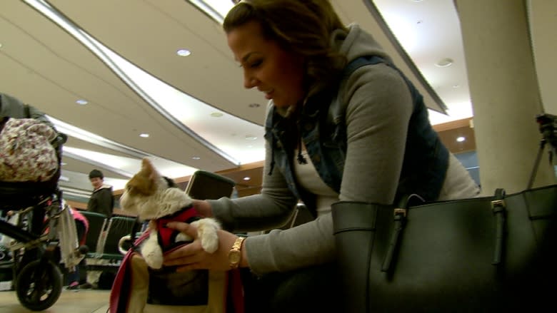 Cleo the cat reunited with her owner in Edmonton