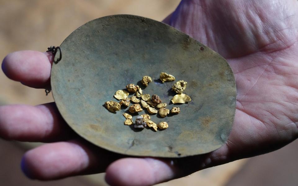 A tray of gold pieces that Mark Dayton has found in the past few weeks in Shingle Springs - New York Times / Redux / eyevine