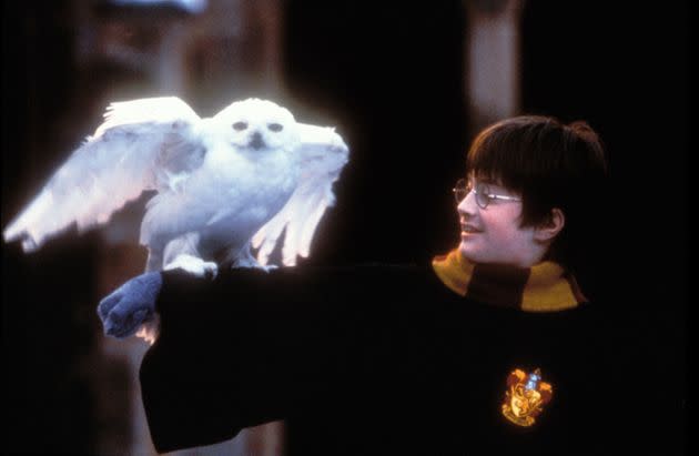 It's been 20 years since Harry Potter And The Philosopher’s Stone was released (Photo: Peter Mountain via Getty Images)