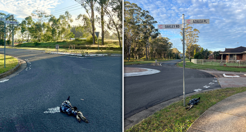 Left - the kangaroo legs in the middle of the road. Right - the legs under a street sign after being moved to the nature strip.