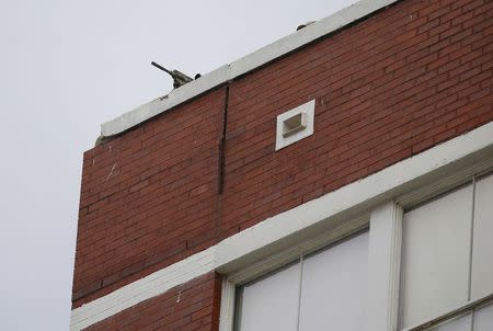 The gun barrel of a police sniper sits on the rooftop of a building across the street from Dallas Police Department headquarters during a lockdown after an anonymous threat was reported in Dallas, Texas, U.S. July 9, 2016. REUTERS/Carlo Allegri