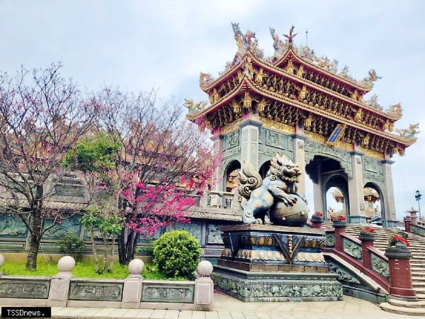 竹林山寺雕梁畫棟的觀宇與奼紫嫣紅的櫻花交互輝映。（圖：新北市景觀處提供）