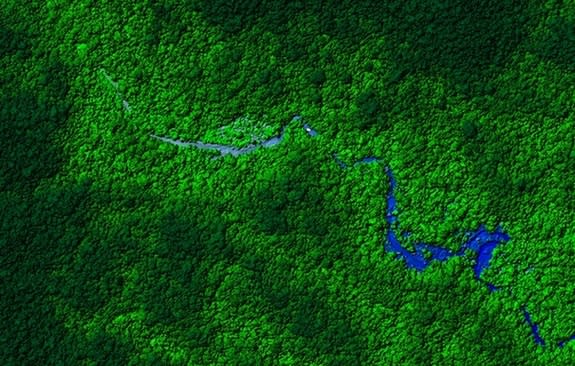 View of Honduras rainforest. Laser mapping scientists flew over a remote part of the forest and discovered what appear to be ruins. The next step is to visit the ruins in person to determine their age.