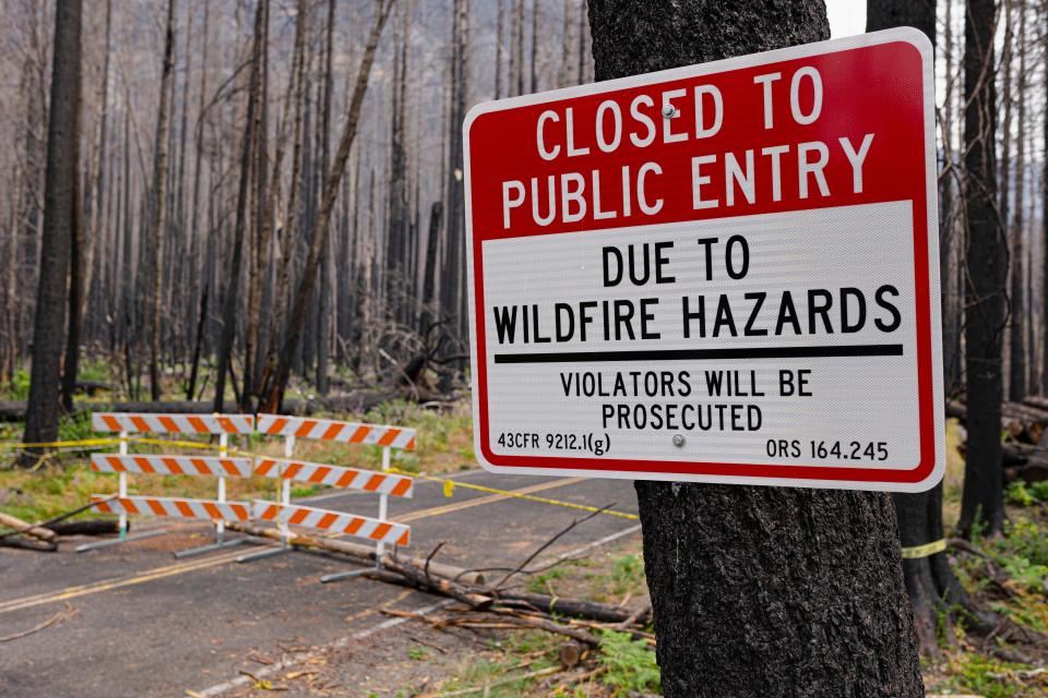 A barrier blocks access to further travel on North Fork Road into Willamette National Forest near Elkhorn.