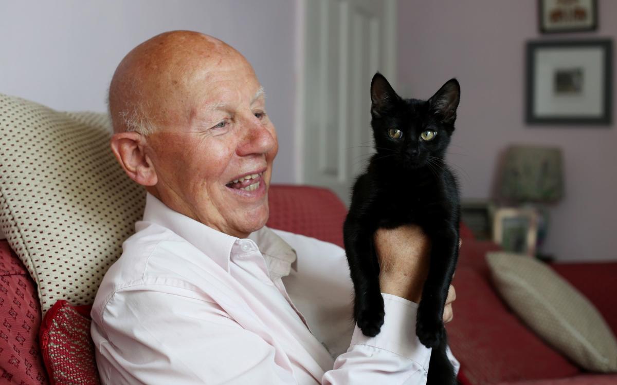 Why it’s so difficult to adopt the UK’s glut of rescue cats