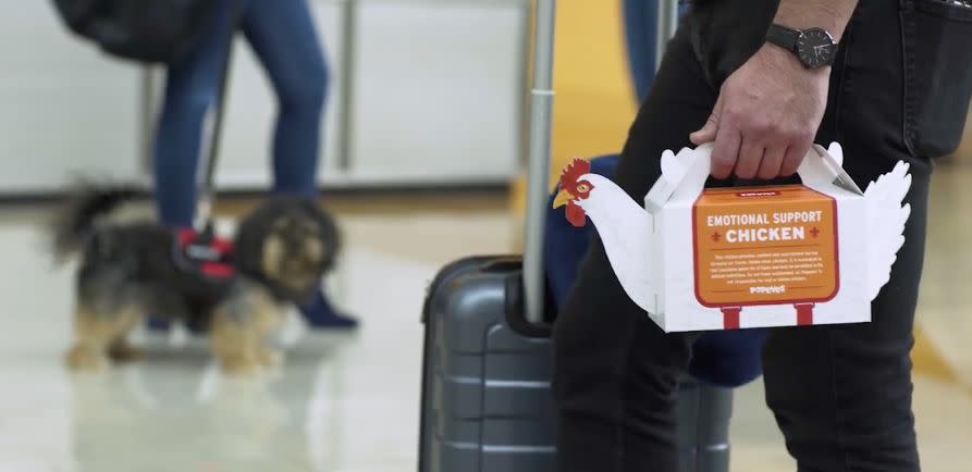 Popeyes' marketing video shows a "Emotional Support Chicken" box at the Philadelphia airport, with a puppy in the background. (Photo: Popeyes)