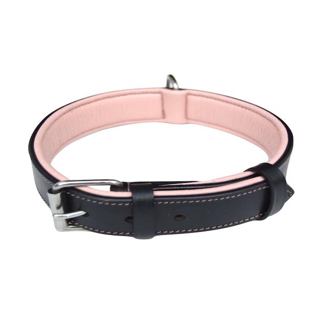 15 Cute Dog Collars That'll Have Your Pup Looking ~So Fetch~