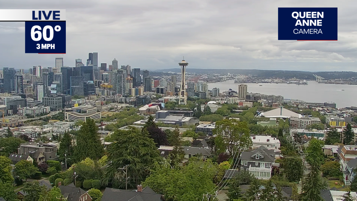 <div>Queen Anne Camera</div> <strong>(FOX 13 Seattle)</strong>