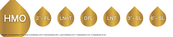 六種不同的母乳低聚糖HMO