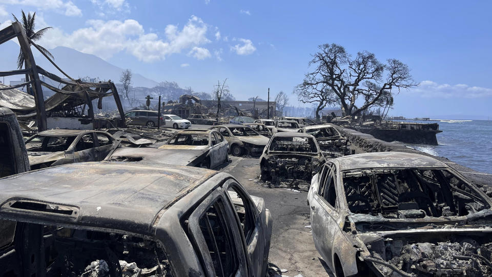 A parking lot on the sea front filled with incinerated cars.