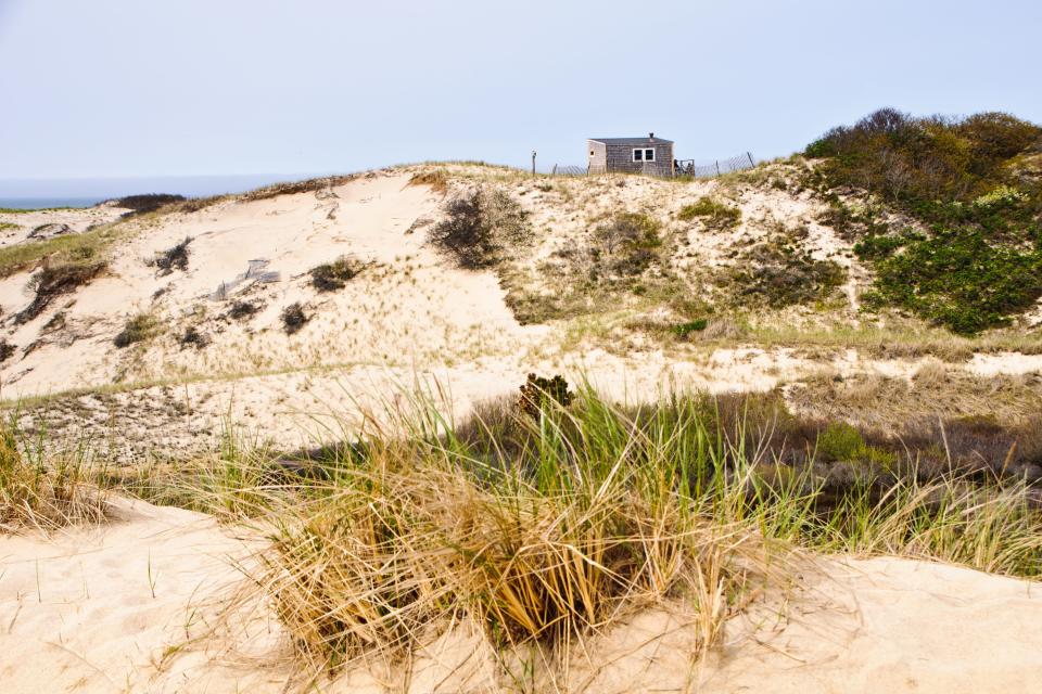 Hike the Dune Shacks Trail