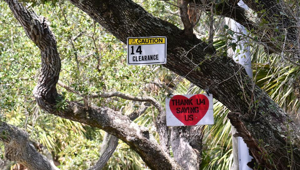 Signs hang from trees on Rockledge Drive as the neighborhood tries to prevent the trees from being cut down.(Credit: MALCOLM DENEMARK/FLORIDA TODAY)