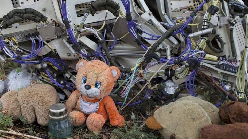 A teddy bear is placed next to wreckage at the site of the downed Malaysia Airlines flight MH17. Photo: REUTERS/Marko Djurica