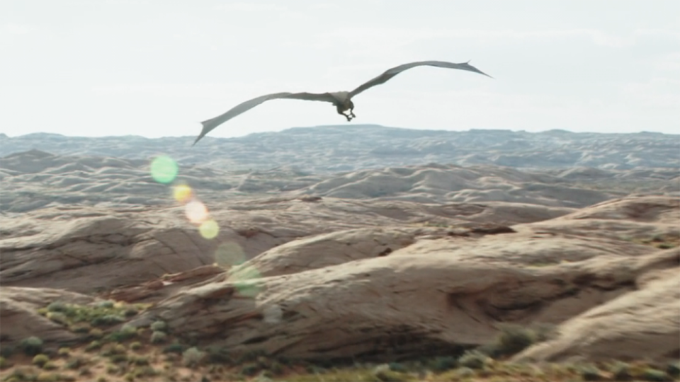 The flying beast escaping with Ragnar in The Mandalorian season 3 episode 4