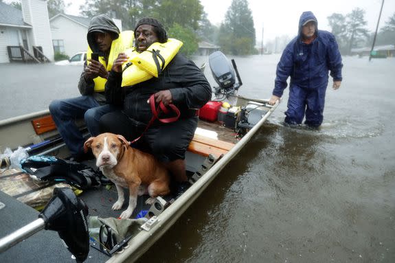 Residents of New Bern, NC and their dog are rescued from rising floodwaters caused by Hurricane Florence.
