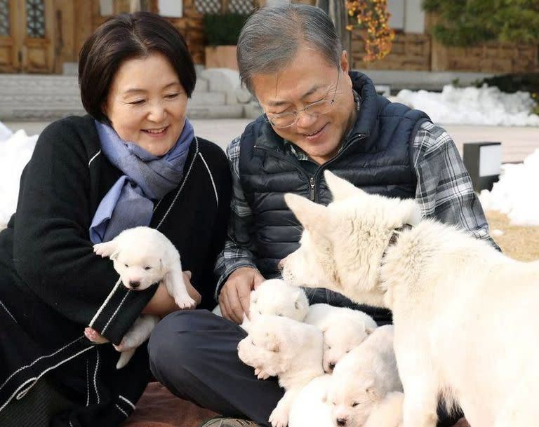 Moon Jae-in y los perros obsequiados por Kim Jong-un