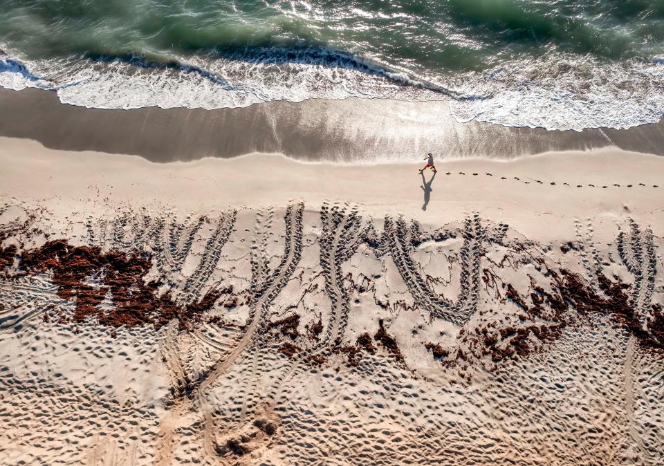 A morning walker passes tracks left by sea turtles that nested overnight on the beach in Coral Cove Park in Tequesta. This photo by staff photographer Greg Lovett was a finalist for a 2023 Sunshine State Award for Feature Photography.