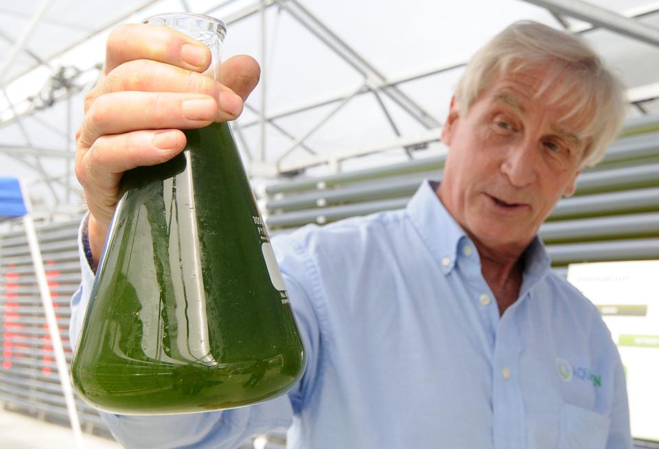 In this file photo, Brian Braginton-Smith, executive director of the Lewis Bay Research Center, holds up algae water from a project in 2013 aimed at using algae as a means of cleaning wastewater. Now Braginton-Smith and his team hope to open a living laboratory, in collaboration with the Dennis-Yarmouth Regional School District.