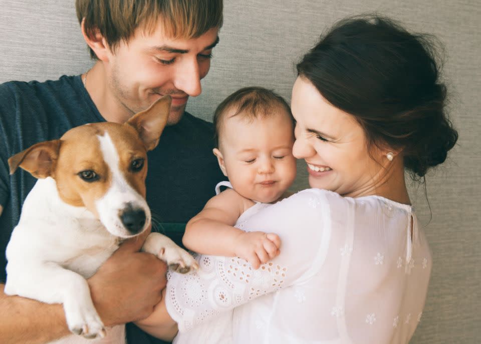 Introducing a baby to your dog can be stress-free. Photo: Getty