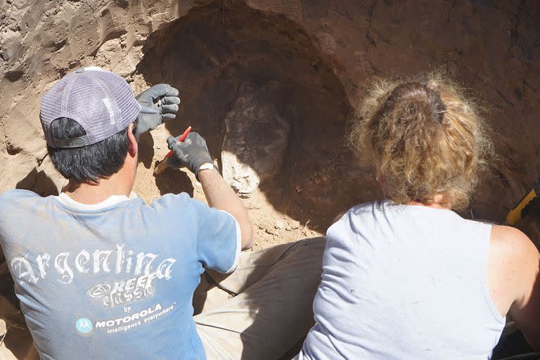 Se encontró hoy en la construcción de una vivienda de calle 60 entre 125 y 127 de la ciudad balnearia, según se difundió hoy a través de un comunicado municipal.