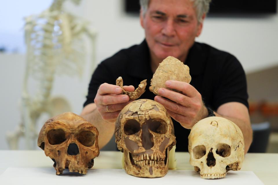 Tel Aviv University Professor Israel Hershkovitz holds what scientists say are two pieces of fossilised bone of a previously unknown kind of early human (Reuters)