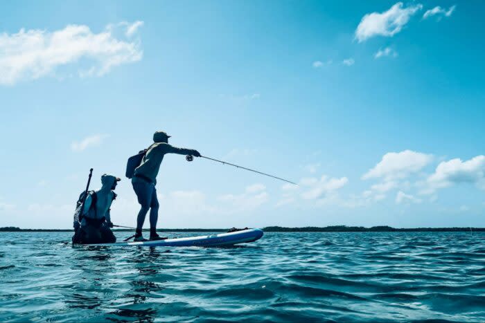 Stand Up Paddleboards