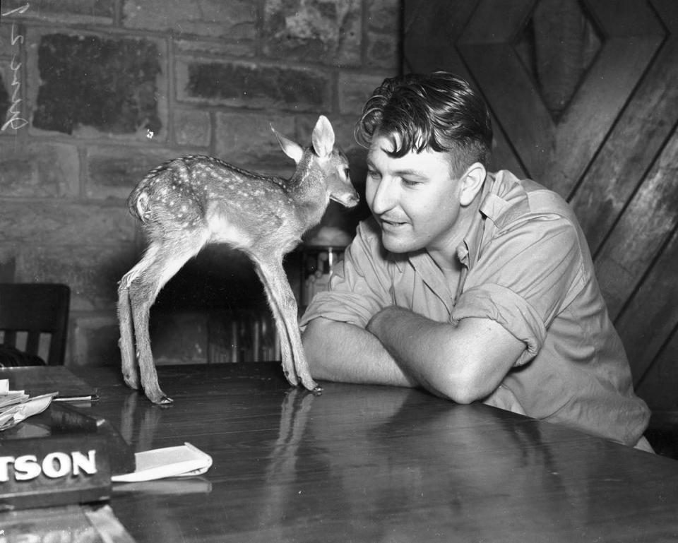 June 29, 1937: Hamilton Hittson, zookeeper of the Fort Worth Forest Park Zoo, with a tiny fawn.