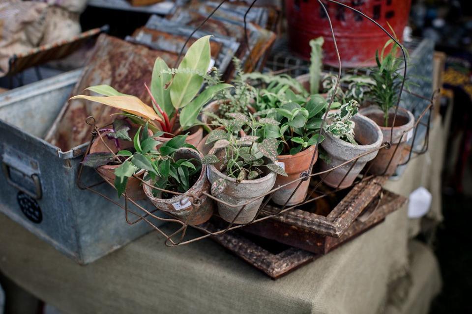 A Peek Inside the 2015 Country Living Fair in Columbus, Ohio