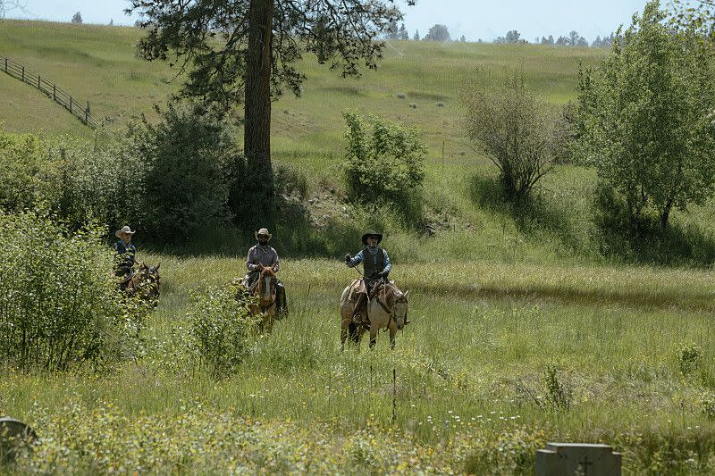 cowboys riding through the meadow on yellowstone