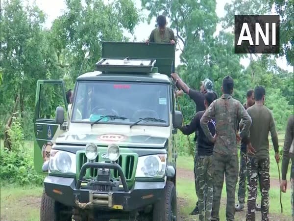 Team of RRT and STPF in forest area of Gadchiroli (Photo/ANI)